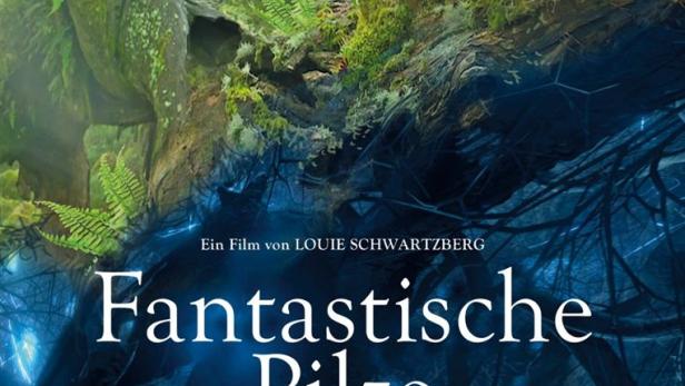 Das Filmplakat für „Fantastische Pilze“ zeigt eine Szene mit Pilzen und einem Baumstamm.