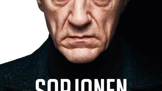 Sorjonen: Muraalimurhat