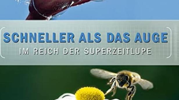 Terra X Schneller als das Auge