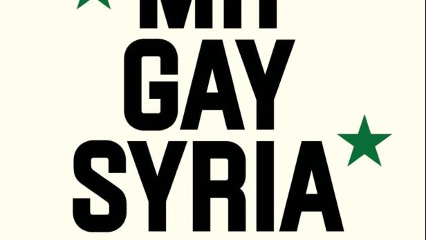Das Filmplakat für den Dokumentarfilm „Mr. Gay Syria“ von Ayşe Toprak mit Festivalauszeichnungen.