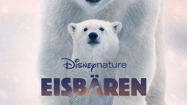 Eisbären