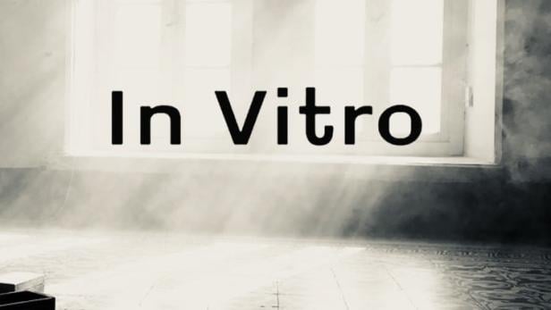 Ein Raum mit zwei Fenstern, durch die helles Licht scheint, und dem Text „In Vitro“.