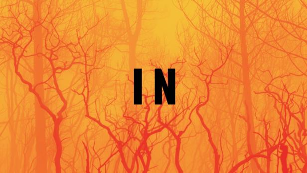 Das Filmplakat für „Fire in Paradise“, ein Netflix-Original-Dokumentarfilm.