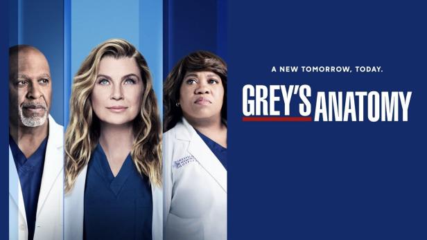 "Grey's Anatomy"-Staffel 20: Alles, was wir darüber wissen