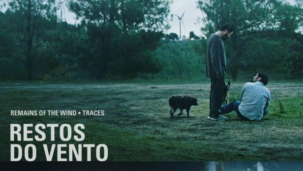 Zwei Männer und zwei Hunde stehen auf einer Wiese; im Hintergrund Windräder.