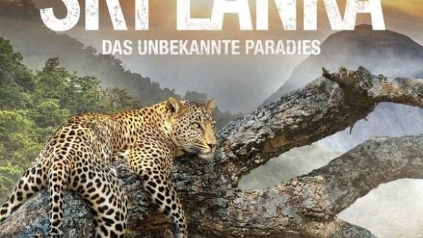 Ein Leopard ruht auf einem Ast vor dem Hintergrund der Landschaft Sri Lankas.