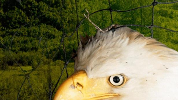 Alaska Animal Rescue