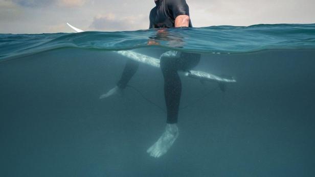 Shark Beach With Chris Hemsworth