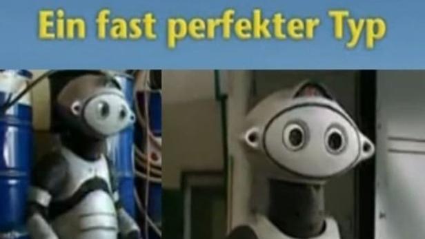 Leo - Ein fast perfekter Typ