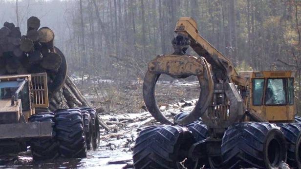 Swamp Loggers