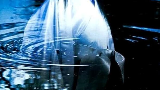 Eine Frau mit weißem Gesicht und traditioneller Kleidung steht im Wasser.