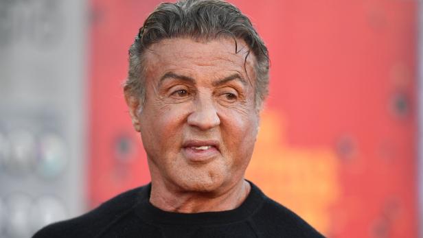 Sylvester Stallone - Figure 1