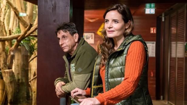 Ein Mann und eine Frau stehen in einem Zoo und schauen auf ein Tiergehege.