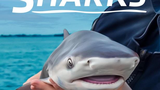 Eine Person hält einen kleinen Hai in den Händen vor dem Hintergrund des Meeres.