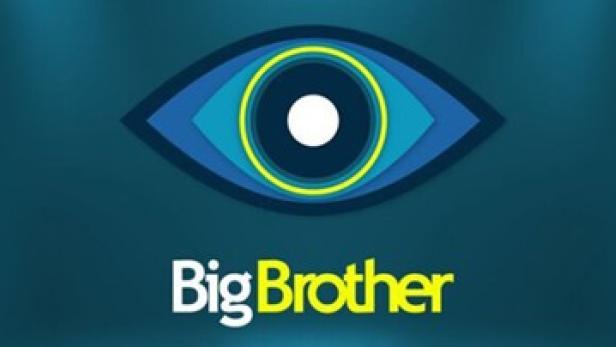 Big Brother - Figure 1