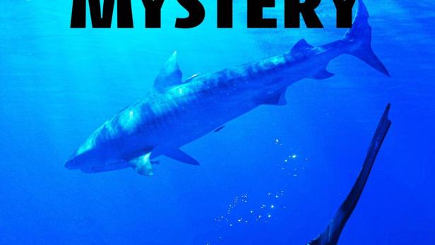 Maui Shark Mystery