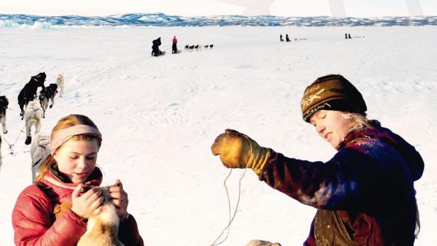 Das Filmplakat für „Die Familie mit den Schlittenhunden“ zeigt spielende Kinder und Huskys in einer Schneelandschaft.