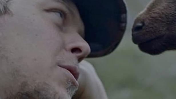 Ein Mann mit Kappe liegt im Gras, während sich ein Elch nähert.