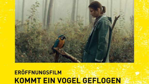 Kommt ein Vogel geflogen