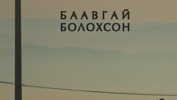 Баавгай болохсон