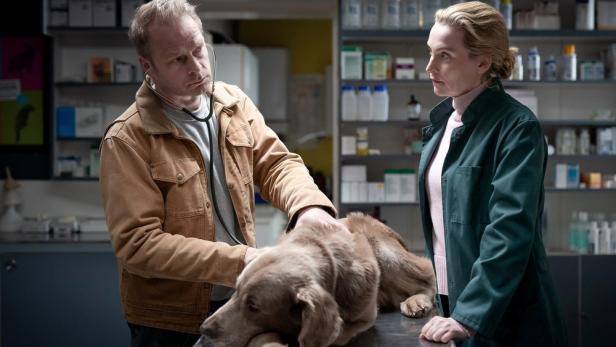 Ein Tierarzt untersucht einen Hund, während eine Frau zusieht.