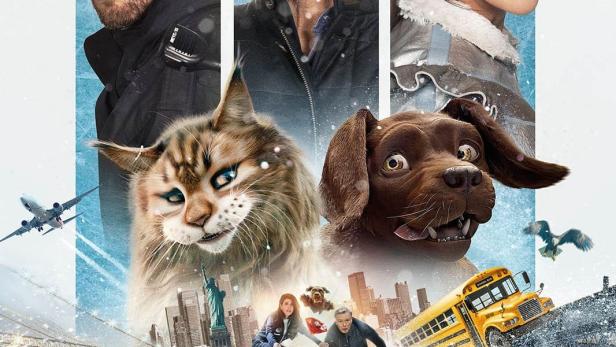 Das Filmplakat für „Chien et Chat“ zeigt eine abenteuerliche Katz-und-Hund-Geschichte in New York.