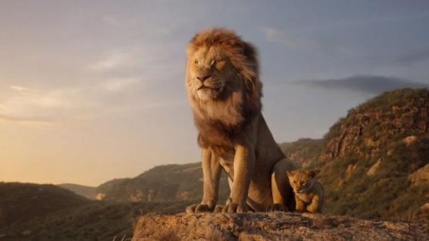 Ein Löwe und sein Löwenbaby stehen auf einem Felsen und überblicken ein Tal.