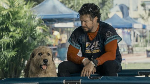 Mark Wahlberg mit Hund in &quot;Arthur der Große&quot;