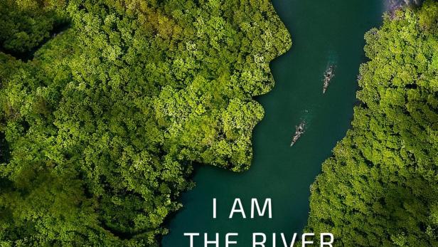 Luftaufnahme eines Flusses, der sich durch dichten grünen Wald schlängelt.