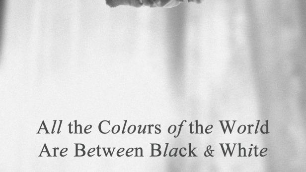 All the Colours of the World Are Between Black and White