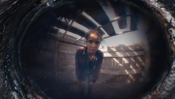 Das Auge eines Tieres spiegelt eine junge Frau in einem Stall wider; Filmposter „Animale“.