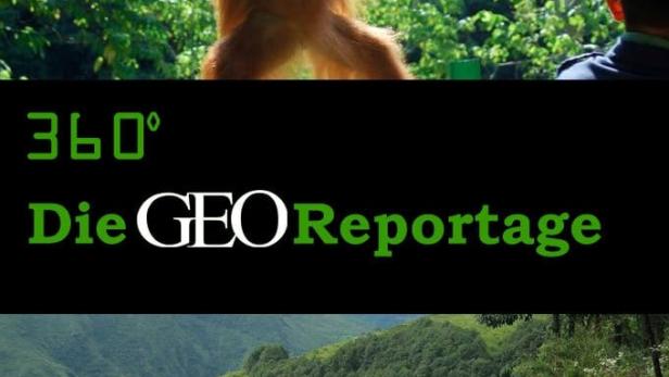 Ein Orang-Utan schwingt an einer Stange vor grünem Blätterdach. Im unteren Bild trägt eine Person eine schwere Last auf einem Bergpfad.