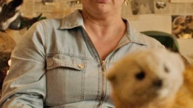 Eine Frau sitzt in einem Raum mit ausgestopften Tieren und hält ein Getränk.