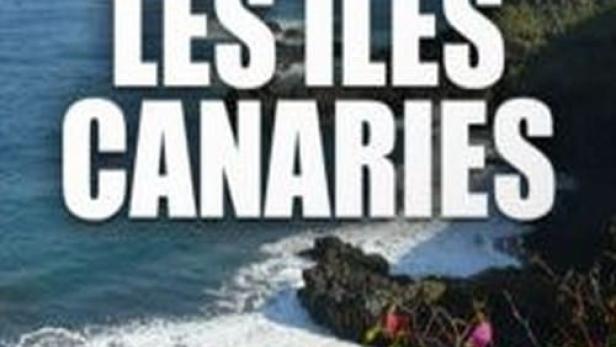 Die Küste der Kanarischen Inseln mit blühenden Büschen im Vordergrund.