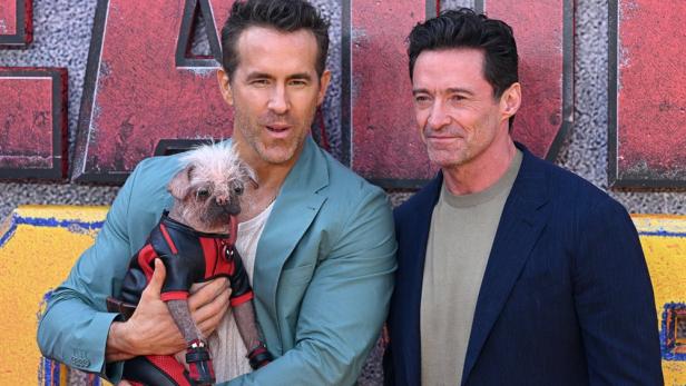 Ryan Reynolds hässlichster Hund Großbritannien