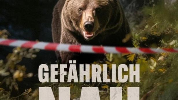Ein Braunbär steht hinter einem rot-weißen Absperrband.