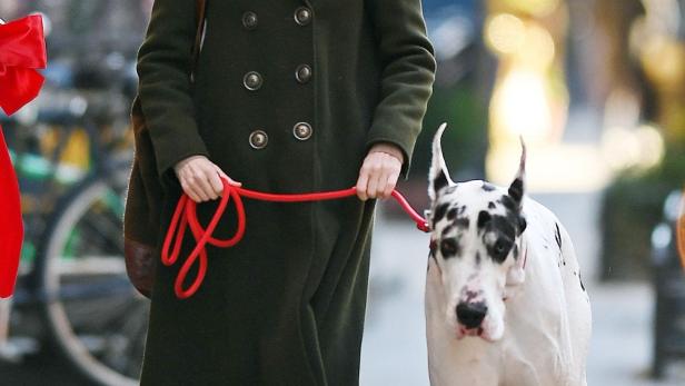 Naomi Watts geht mit einer Dogge an der Leine spazieren.