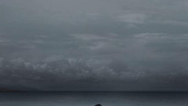 Ein Mann mit Rucksack sitzt am Strand und blickt auf das Meer. Über ihm steht der Titel „Haulout“.