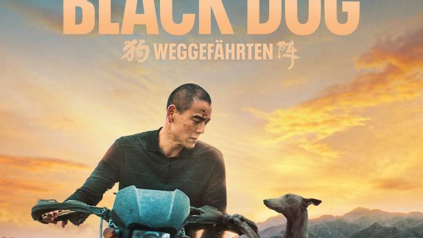 blackdog-weggefaehrten-plakat.jpg