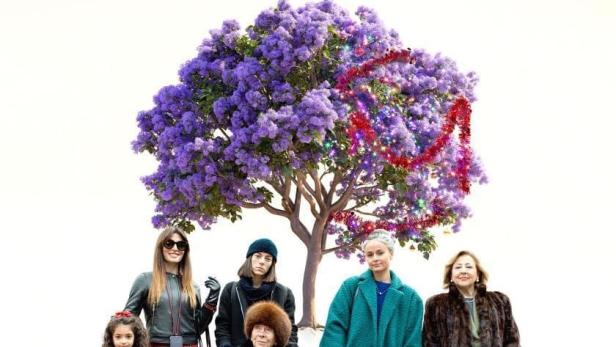 Das Filmplakat für „Verano en Diciembre“ zeigt sechs Frauen unterschiedlichen Alters unter einem blühenden Baum.