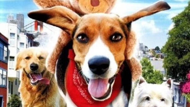 Das Filmplakat für „Aussie & Ted's Great Adventure“ zeigt Hunde und einen Teddybären auf einer Straße.