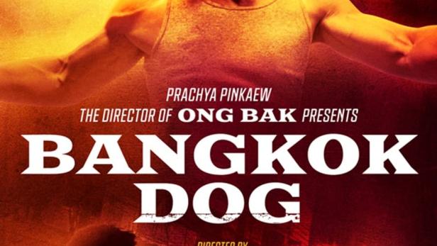 Das Filmplakat für „Bangkok Dog“ zeigt D.Y. Sao in einer Kampfszene.