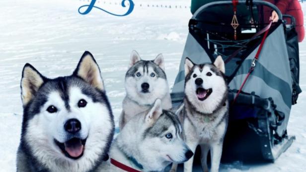 Das Filmplakat für „The Finnish Line“ zeigt ein Paar mit einem Schlittenhunde-Team in einer verschneiten Landschaft.