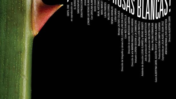 Das Filmplakat für „¡Caigan las Rosas Blancas!“ zeigt einen Rosenstiel mit Dorn vor schwarzem Hintergrund.