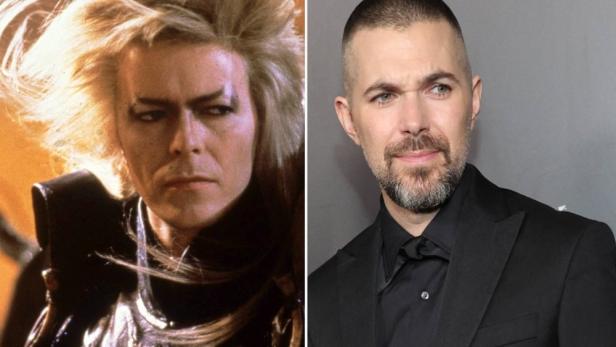 reise-labyrinth-bowie-eggers.jpg