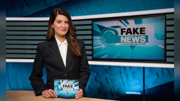 linda-zervakis-fake-news.jpg