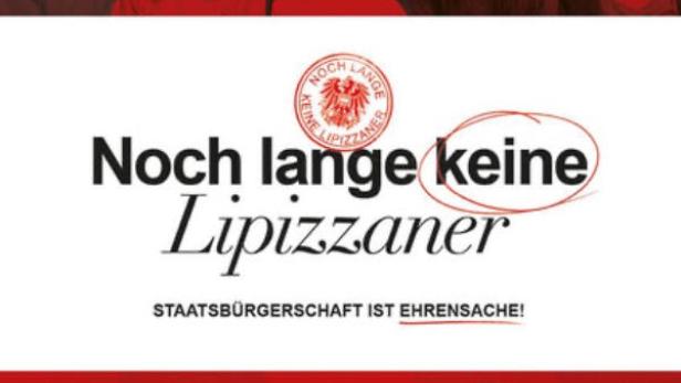 Noch lange kein Lipizzaner