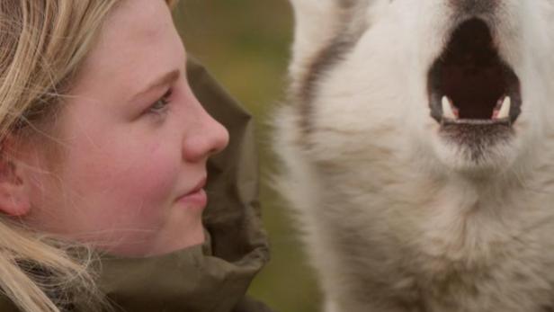 Eine junge Frau mit einem Huskie, der sein Maul aufreißt, vor dem Schriftzug „Folktales“.