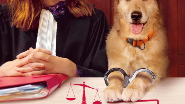 Auf dem Plakat zum Film „Hundschuldig“ steht eine Anwältin einem Hund mit Handschellen gegenüber.