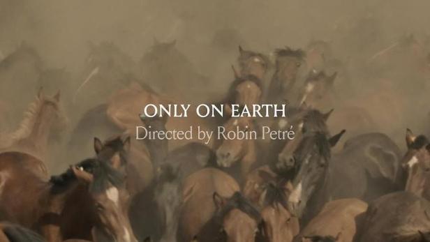 Das Filmplakat für „Only on Earth“ zeigt eine große Herde Pferde in einer staubigen Umgebung.